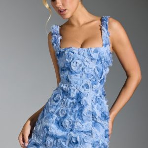 Floral-Appliqu?? Square-Neck Corset Mini Dress in Blue